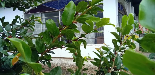 Fazenda / Sítio / Chácara com 3 Quartos à venda, 100m² no Itaquaciara, Itapecerica da Serra