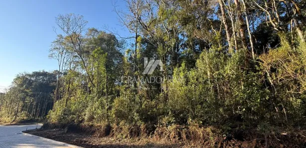Terreno / Lote / Condomínio à venda, 450m² no Carniel, Gramado