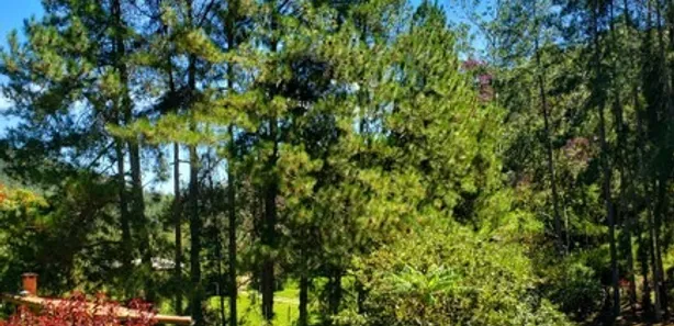 Fazenda / Sítio / Chácara com 5 Quartos à venda, 200m² no Prado, Nova Friburgo