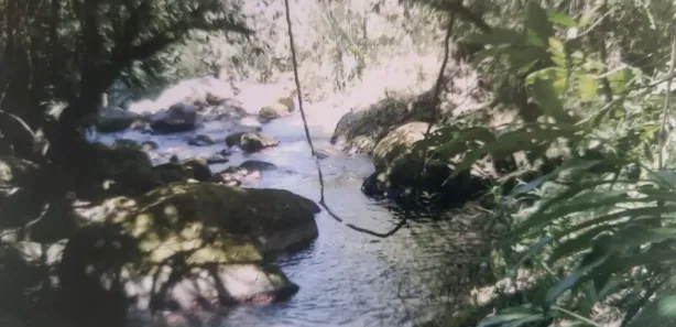 Fazenda / Sítio / Chácara à venda, 230m² no Visconde de Mauá, Resende