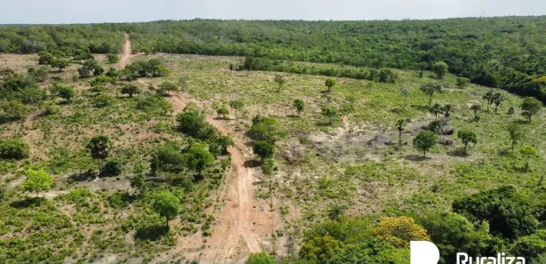 Fazenda / Sítio / Chácara à venda, 595m² no , Cristalândia