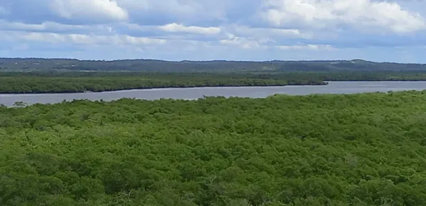 Terreno / Lote / Condomínio à venda, 426m² no , São Cristóvão