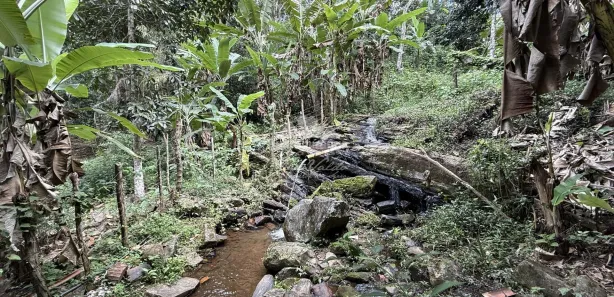 Fazenda / Sítio / Chácara com 6 Quartos à venda, 30000m² no , Pacoti