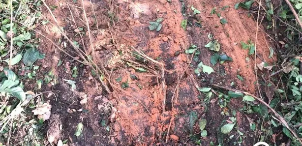 Fazenda / Sítio / Chácara à venda no , Guaraí