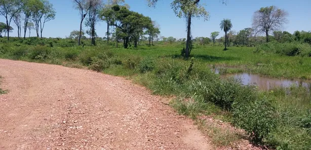 Fazenda / Sítio / Chácara com 3 Quartos à venda, 700000m² no , Anastácio