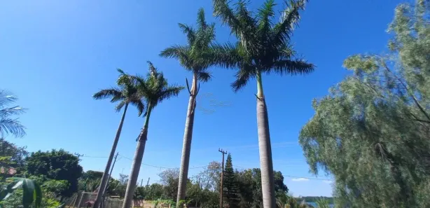 Terreno / Lote / Condomínio à venda, 1109m² no , Alvorada do Sul