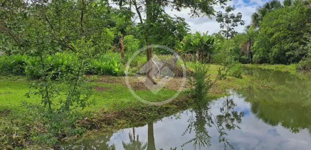 Fazenda / Sítio / Chácara à venda, 383m² no Planaltina, Brasília