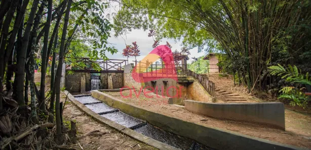 Casa de Condomínio com 7 Quartos à venda, 610m² no , Paudalho