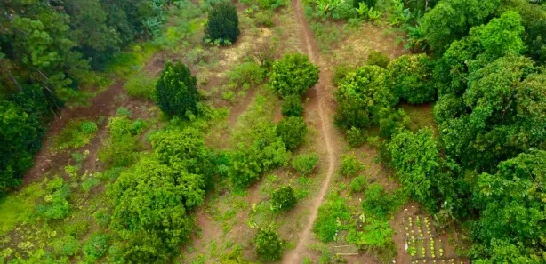 Fazenda / Sítio / Chácara com 3 Quartos à venda, 270m² no Chácara Águas da Pedra, Itaquaquecetuba