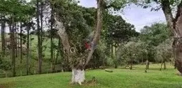 Fazenda / Sítio / Chácara com 6 Quartos à venda, 144000m² no Jardim Pinheiros, Quatro Barras