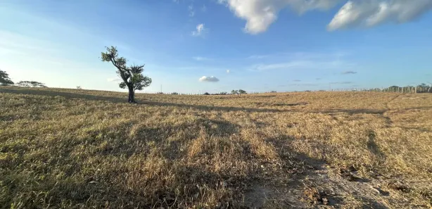 Fazenda / Sítio / Chácara à venda, 45000m² no , Sairé