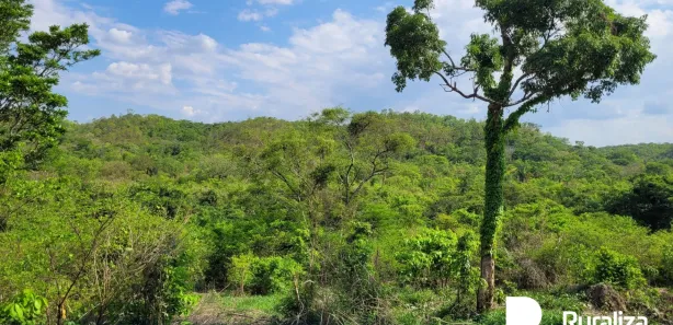 Fazenda / Sítio / Chácara à venda, 445m² no , Rio Sono