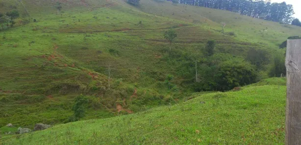 Fazenda / Sítio / Chácara com 3 Quartos à venda, 484000m² no , Redenção da Serra