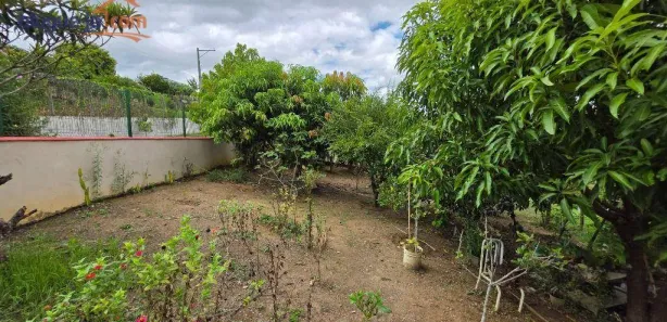 Fazenda / Sítio / Chácara com 3 Quartos à venda, 222m² no Roseirinha, Caçapava
