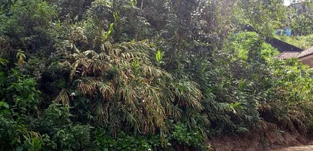 Terreno / Lote / Condomínio à venda, 503m² no Quitandinha, Petrópolis