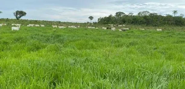 Fazenda / Sítio / Chácara à venda, 1064800m² no Plano Diretor Sul, Palmas