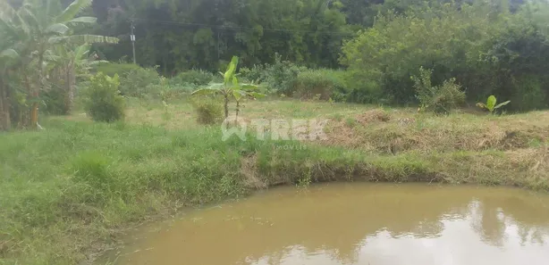 Fazenda / Sítio / Chácara à venda, 24988m² no Lagoa Verde, Tanguá