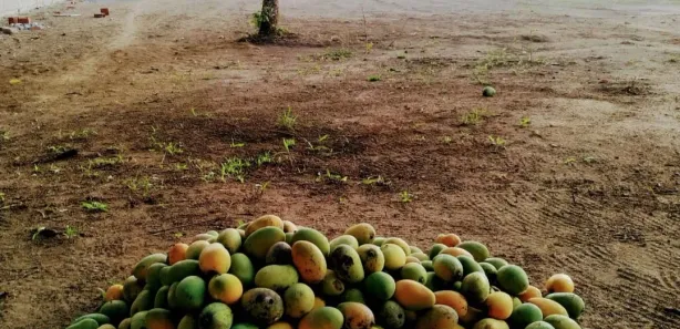 Terreno / Lote / Condomínio à venda, 465m² no Aldeia dos Camarás, Camaragibe