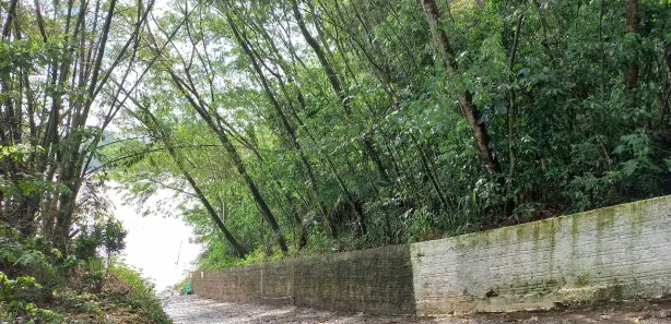 Casa de Condomínio com 3 Quartos à venda, 180m² no , Doutor Camargo