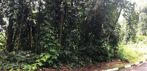 Terreno / Lote / Condomínio à venda, 1056m² no Arujázinho I, II e III, Arujá