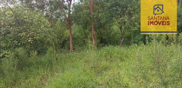 Fazenda / Sítio / Chácara à venda, 20000m² no Itaqui de Cima, Campo Largo