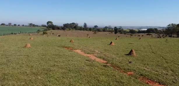 Fazenda / Sítio / Chácara à venda, 31460m² no , Laranjal Paulista