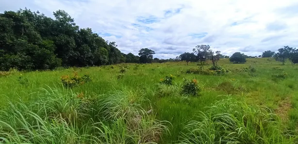 Fazenda / Sítio / Chácara com 3 Quartos à venda, 310000000m² no , Paraíso do Tocantins