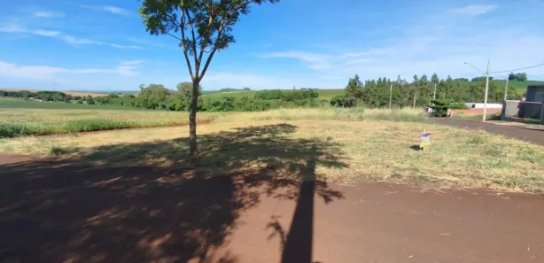 Terreno / Lote / Condomínio à venda, 386m² no Jardim Nova Floresta, Floresta