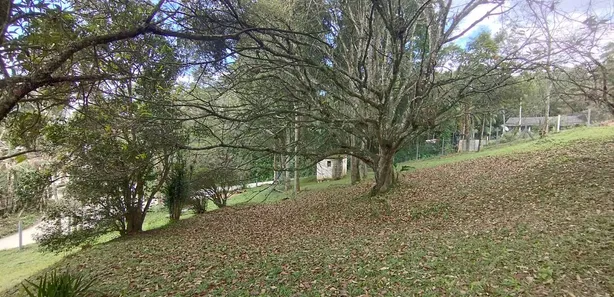Fazenda / Sítio / Chácara com 2 Quartos à venda, 70m² no Tatetos, São Bernardo do Campo
