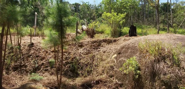 Terreno / Lote / Condomínio à venda, 15619m² no Parque Dom Henrique, Cotia
