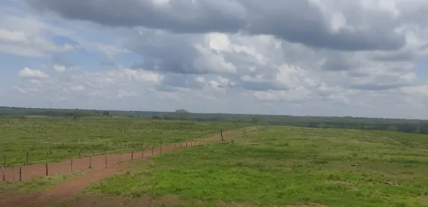 com 1 Quarto à venda, 320m² no , Pedro Afonso