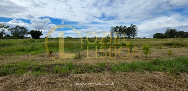 Fazenda / Sítio / Chácara com 3 Quartos à venda, 20000m² no Brazlândia, Brasília
