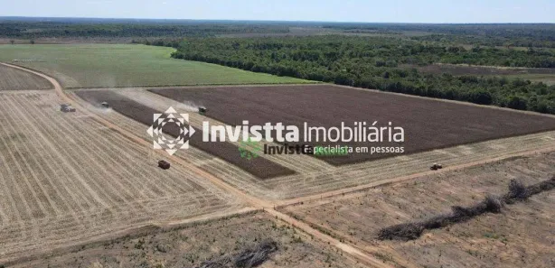 Fazenda / Sítio / Chácara à venda, 368m² no , Pedro Afonso