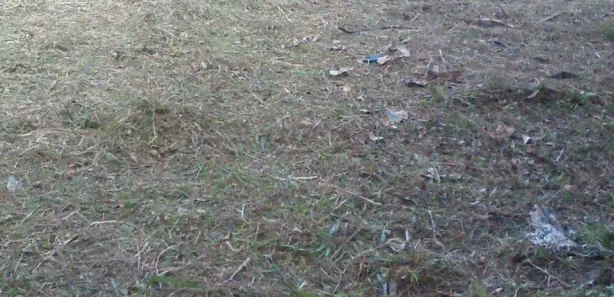 Terreno / Lote / Condomínio à venda, 300m² no Parque Verde II, Camaçari