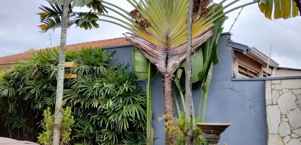 Casa com 3 Quartos à venda, 125m² no Nova Jaguariúna, Jaguariúna
