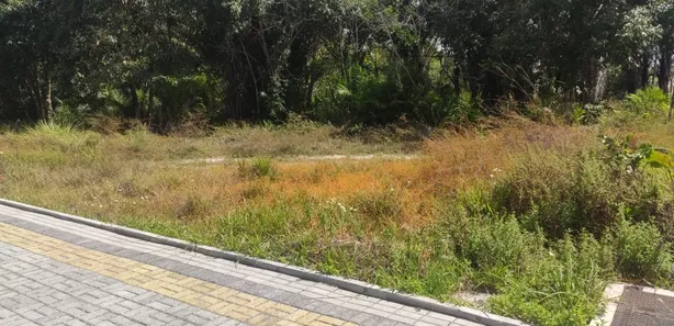Terreno / Lote / Condomínio à venda, 1117m² no Busca Vida (Abrantes), Camaçari