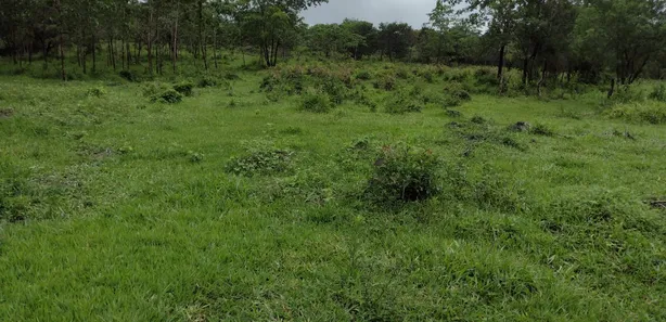 Terreno / Lote / Condomínio à venda, 20000m² no , Fortuna de Minas