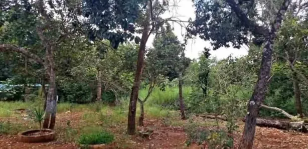 Fazenda / Sítio / Chácara à venda, 4500m² no , Brasília