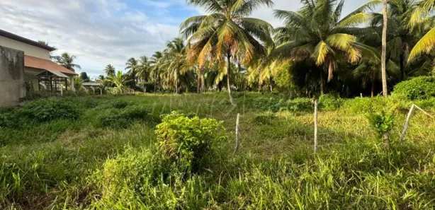 Terreno / Lote / Condomínio à venda, 40000m² no Centro, Barra dos Coqueiros