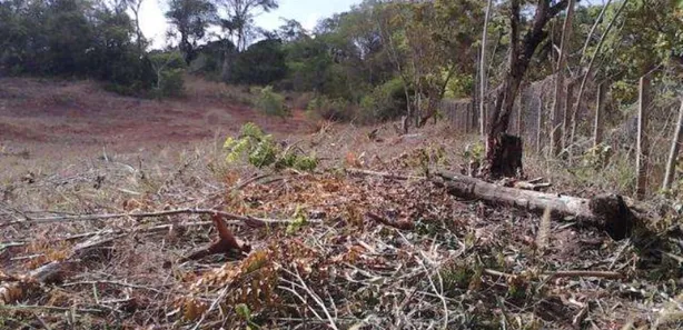 Terreno / Lote / Condomínio à venda, 40000m² no Barra do Jacuípe (Monte Gordo), Camaçari