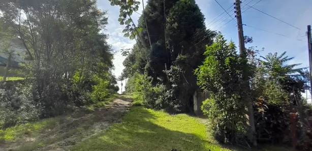Fazenda / Sítio / Chácara com 2 Quartos à venda, 8372m² no Paiol do Meio, São Lourenço da Serra