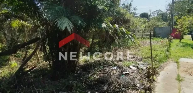 Fazenda / Sítio / Chácara à venda, 1250m² no Jardim Aguapeu, Itanhaém