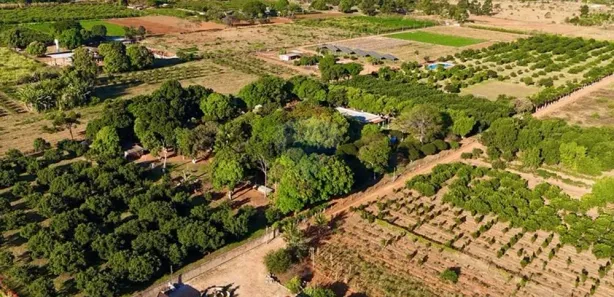 Fazenda / Sítio / Chácara com 4 Quartos à venda, 50000m² no Brazlândia, Brasília