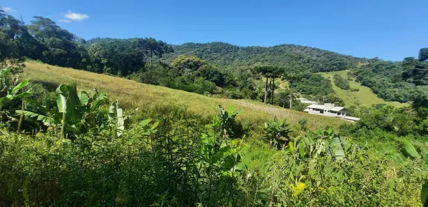 Fazenda / Sítio / Chácara com 2 Quartos à venda, 20000m² no , Águas Mornas