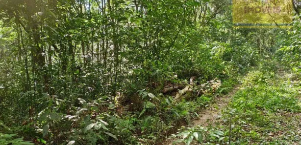 Terreno / Lote / Condomínio à venda, 240000m² no Itaqui de Cima, Campo Largo
