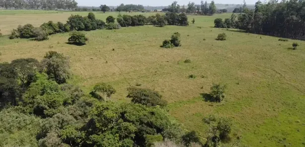 Fazenda / Sítio / Chácara à venda, 116160m² no , Laranjal Paulista