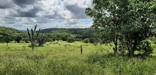 Fazenda / Sítio / Chácara com 3 Quartos à venda, 100m² no Alpes Suiços, Gravatá