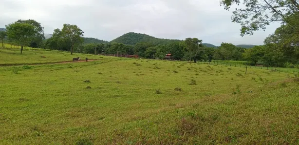 Fazenda / Sítio / Chácara com 3 Quartos à venda, 130000m² no , Padre Bernardo