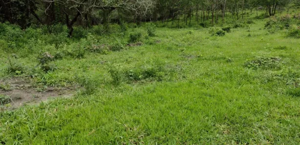 Terreno / Lote / Condomínio à venda, 20000m² no Zona Rural, Fortuna de Minas