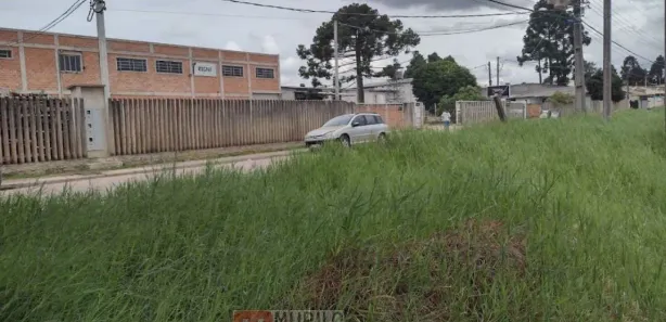 Terreno / Lote / Condomínio à venda, 15000m² no Eucaliptos, Fazenda Rio Grande